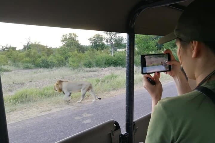 Dawn Drive in Kruger: Private Morning Safari from Hazyview