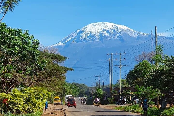 Lemosho Route Kilimanjaro: 7-Day Climb to Uhuru Peak via Shira & Barranco photo 3