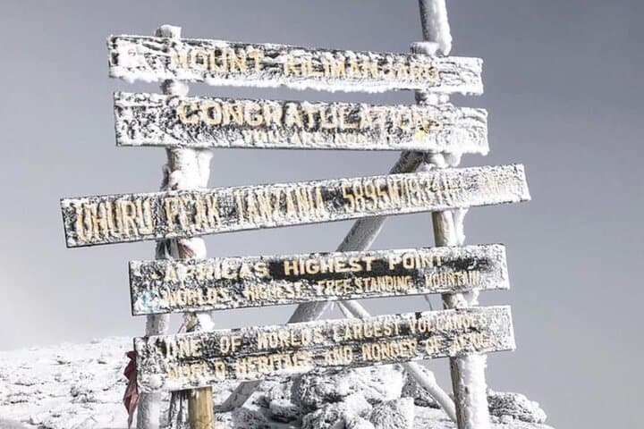 Lemosho Route Kilimanjaro: 7-Day Climb to Uhuru Peak via Shira & Barranco photo 4