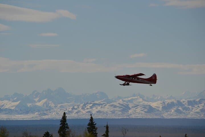 Denali Grand Flightseeing: Talkeetna Scenic Flight Over Denali, Kahiltna & Ruth Glaciers photo 4