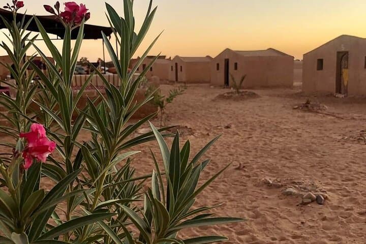 2-Day Desert Tour from Mhamid: Camel Trek, Bivouac & Hammam Experience photo 5