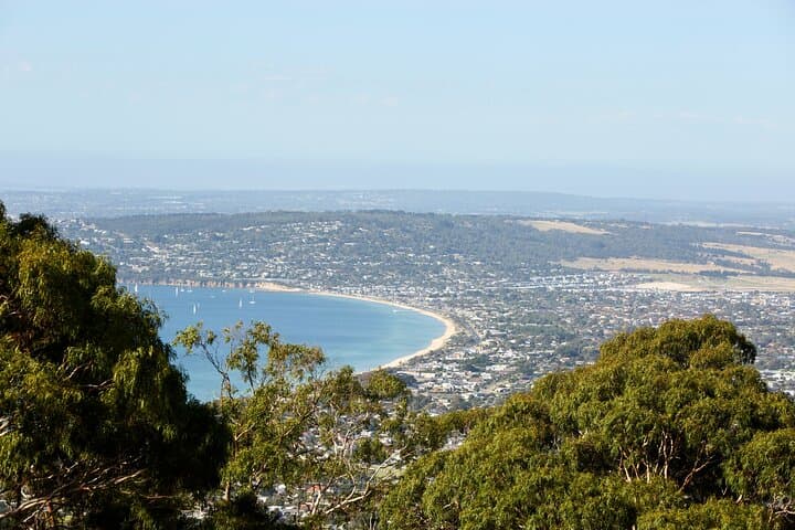 Around the Bay Sightseeing and Bay Cruise — Geelong to Mornington Peninsula Day Tour photo 6