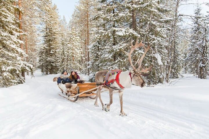 Rovaniemi Husky & Reindeer Safari with Northern Lights BBQ Experience photo 6