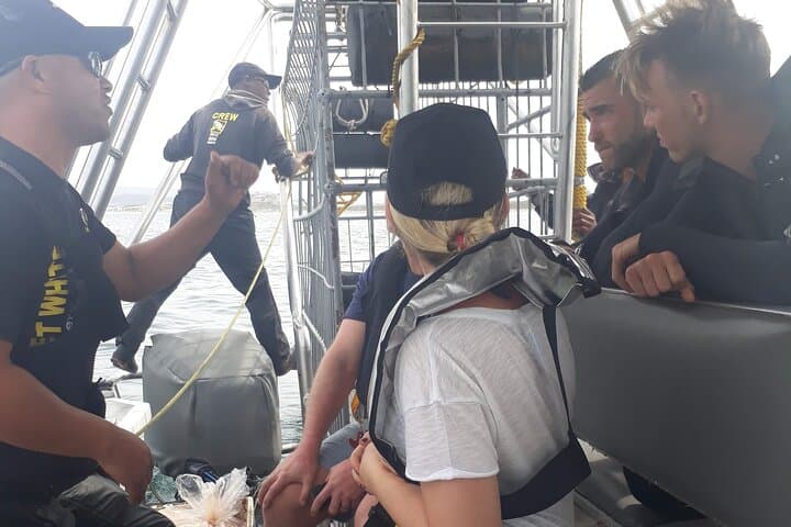 Shark Cage Diving Off Gansbaai: Up-Close Great White Encounters Near Cape Town photo 3