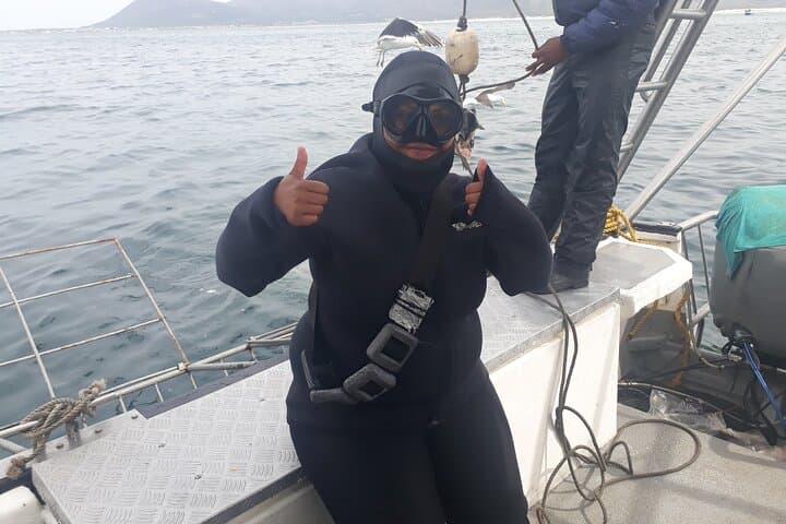 Shark Cage Diving Off Gansbaai: Up-Close Great White Encounters Near Cape Town photo 6