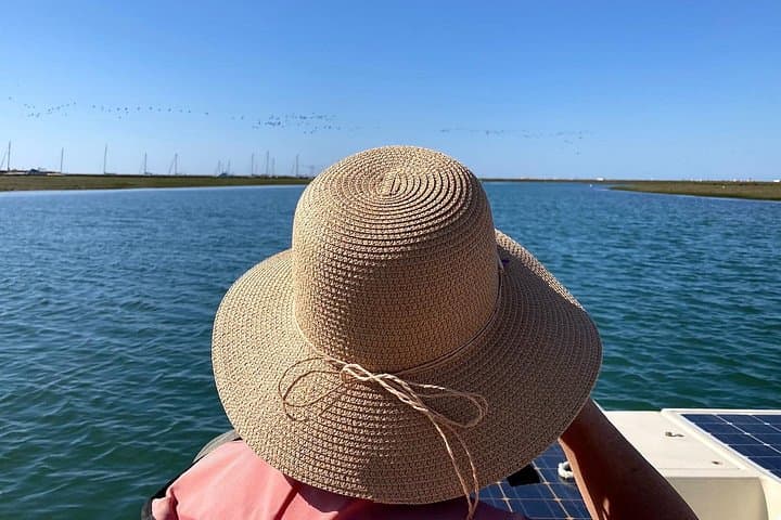 Solar-Powered Birdwatching in Ria Formosa: Eco Boat Tour from Faro photo 3