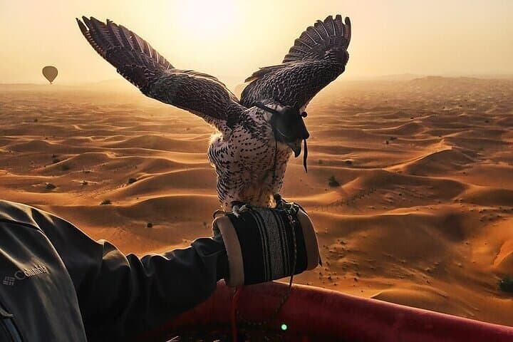 Sunrise Balloon Over Dubai Desert: Falcon Show & Camel Ride photo 3