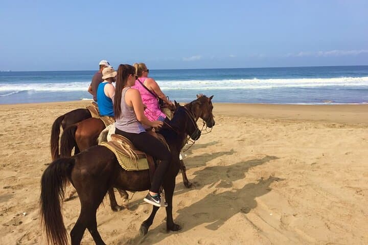 Horseback Riding Playa Larga: Beach & Coconut Grove Ride near Zihuatanejo