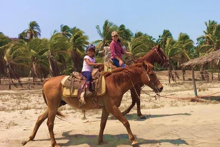 Horseback Riding Playa Larga: Beach & Coconut Grove Ride near Zihuatanejo photo 3