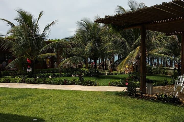 Full-Day Tour: Morro Branco, Praia das Fontes & Canoa Quebrada from Fortaleza photo 5