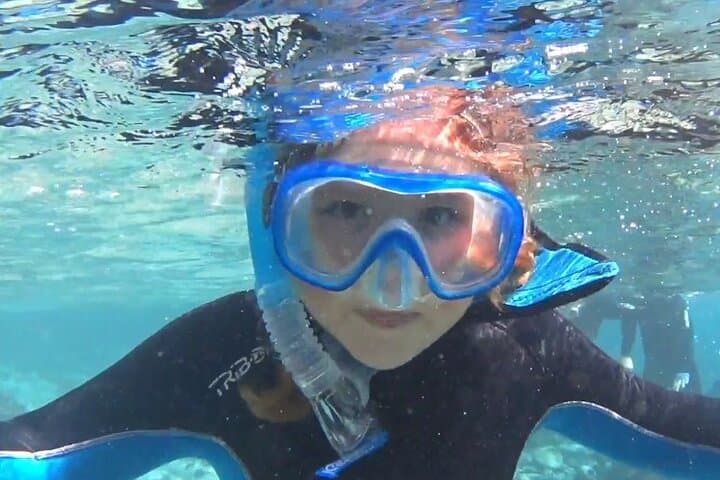 Snorkeling Tenerife's Volcanic Bay: Small-Group Guided Tour photo 4