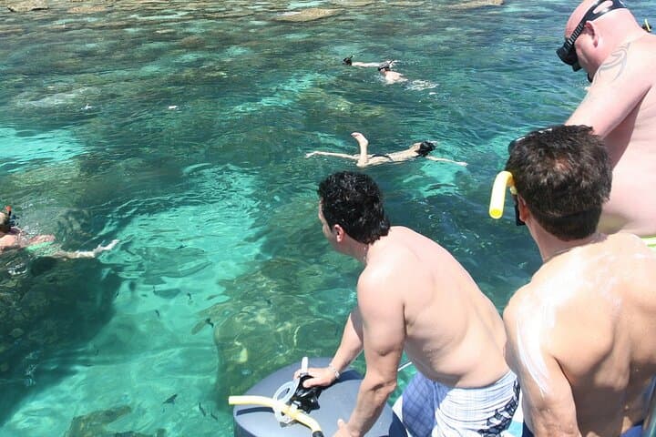 Full-Day Snorkeling Similan Islands from Khao Lak — Speedboat to Coral Gardens photo 4