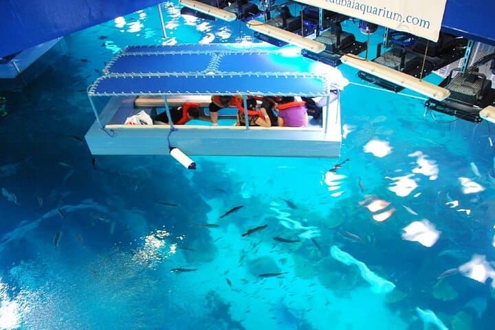 Dubai Aquarium & Underwater Zoo: Tunnel Tickets, Encounters & Visitor Guide photo 6