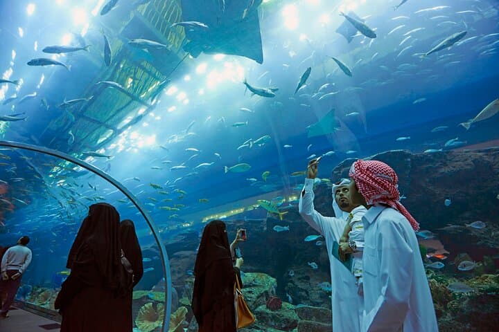 Inside Dubai Aquarium & Underwater Zoo: Walk the 48m Tunnel and Meet the King Croc photo 6
