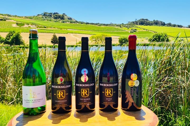 Cape Winelands Day Tour: Stellenbosch, Franschhoek & Paarl Wine Tastings photo 6