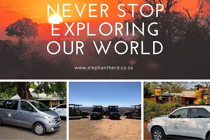 Private Transfer OR Tambo Airport to Mpumalanga — Door-to-Door to Kruger Lodges