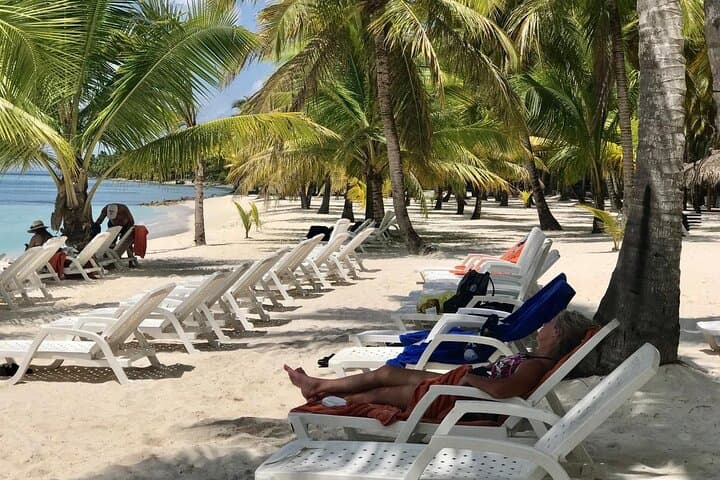 Full-Day Saona Island Escape: Snorkel, Starfish & Beach BBQ from Punta Cana
