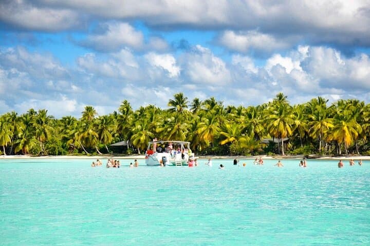 Full-Day Saona Island Escape: Snorkel, Starfish & Beach BBQ from Punta Cana photo 3