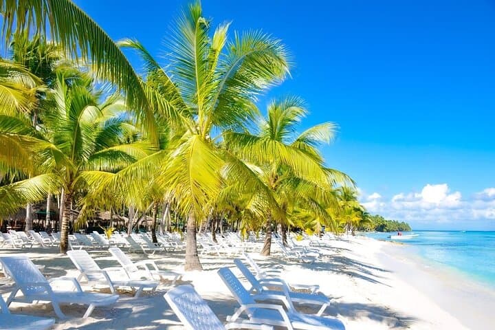 Full-Day Saona Island Escape: Snorkel, Starfish & Beach BBQ from Punta Cana photo 2