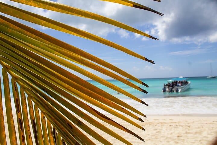 High-Speed Boat Ride Along Punta Cana's Caribbean Coast photo 2