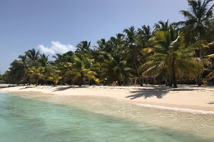 Full-Day Saona Island Escape: Snorkel, Starfish & Beach BBQ from Punta Cana photo 4