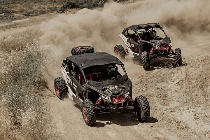 La Paz UTV Dune Adventure with Sandboarding and Playa Tecolote Stop photo 6