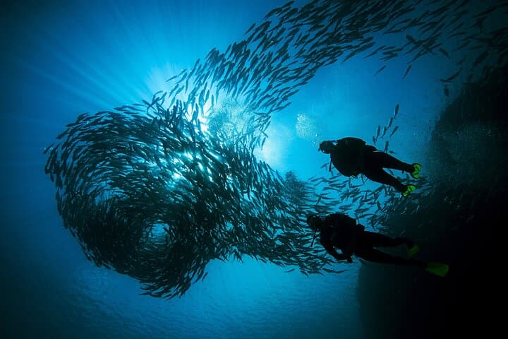 Try Scuba in Tayrona Park: 4-Hour Introductory Diving Course from Santa Marta photo 6