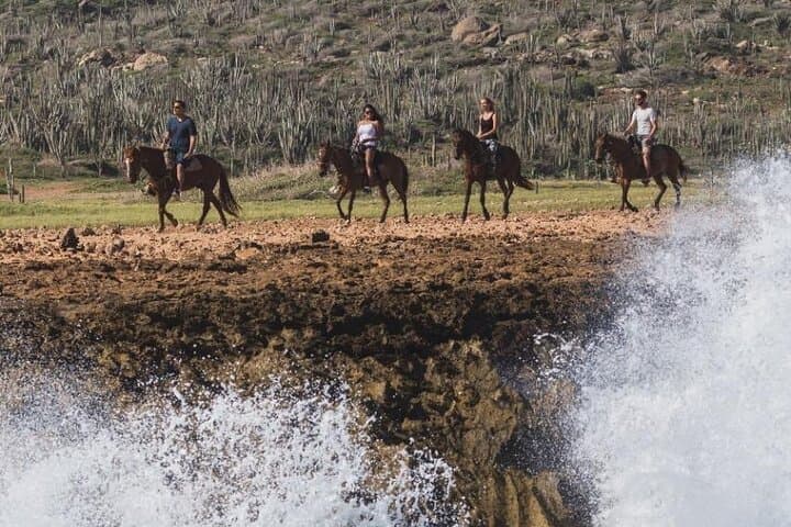 Horseback Riding at Wariruri Beach, Aruba — 90-Min North Coast Tour photo 3