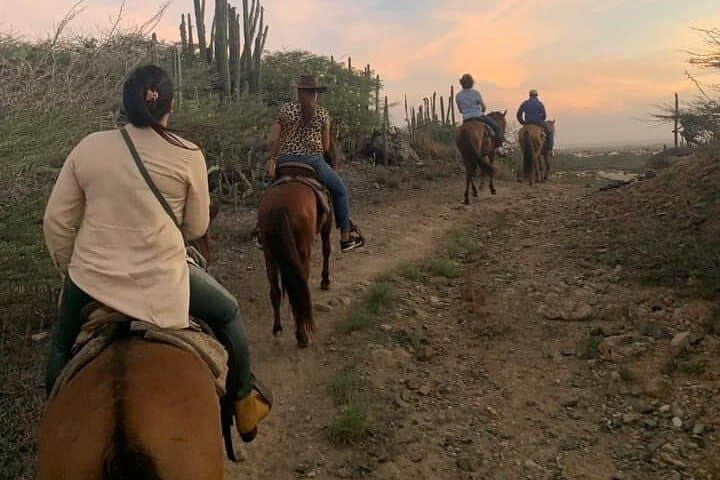 Horseback Riding at Wariruri Beach, Aruba — 90-Min North Coast Tour photo 4