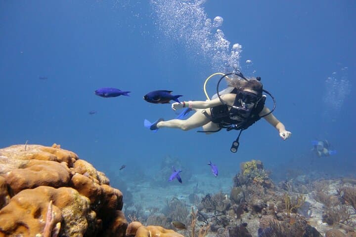Full-Day Hurghada Scuba Diving: 2-Stop Red Sea Beginner Boat Trip with Lunch