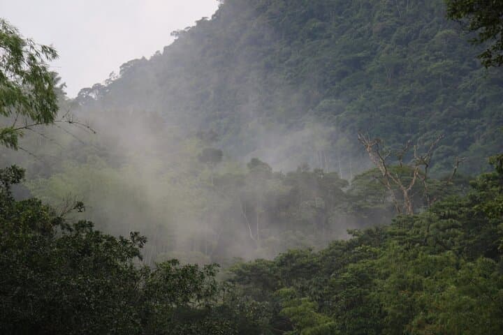 Hike to Río Melcocho from Medellín: Crystal Rivers & Tropical Forest Immersion photo 6