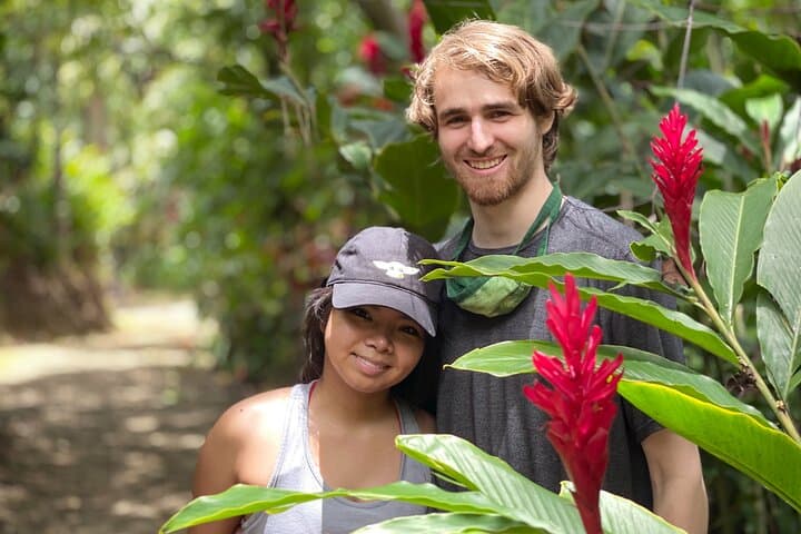 Road to Hana Full-Day Tour: Waterfalls, Red Sand & Black Sand Beaches photo 2