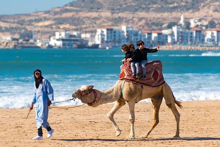 Agadir Camel and Horse Riding: Souss River Ranch & Eucalyptus Trails photo 2