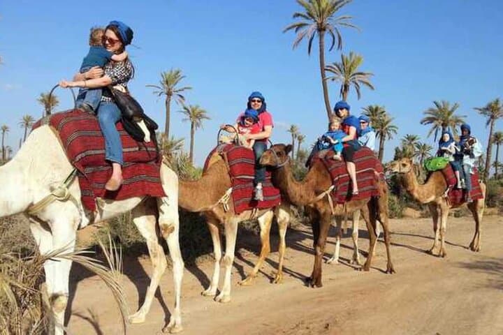 Agadir Camel and Horse Riding: Souss River Ranch & Eucalyptus Trails