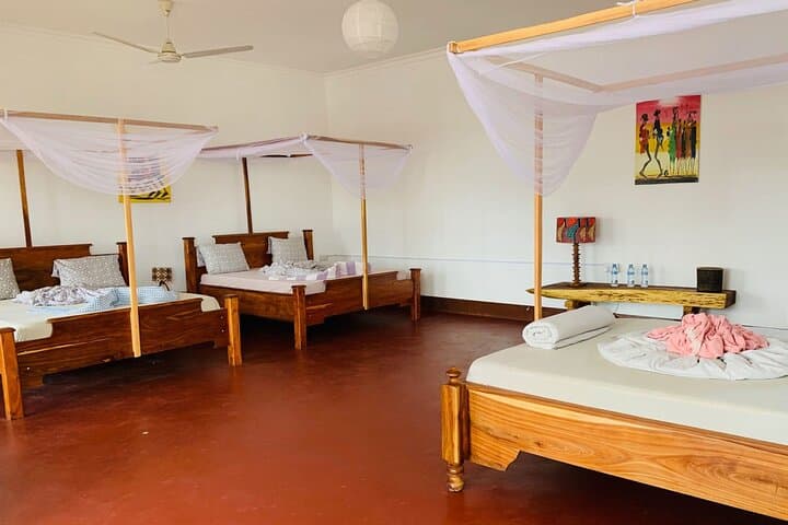 Mikumi National Park 2-Day Safari – Game Drives on the Mkata Floodplain photo 4