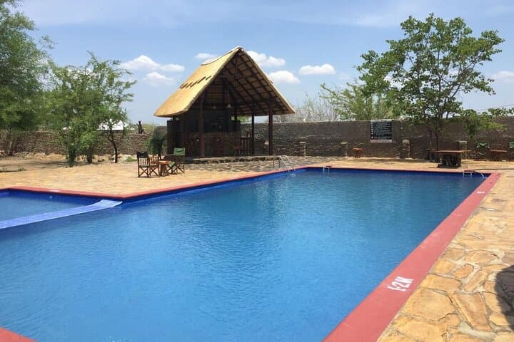 Mikumi National Park 2-Day Safari – Game Drives on the Mkata Floodplain photo 5
