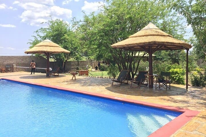 Mikumi National Park 2-Day Safari – Game Drives on the Mkata Floodplain photo 6