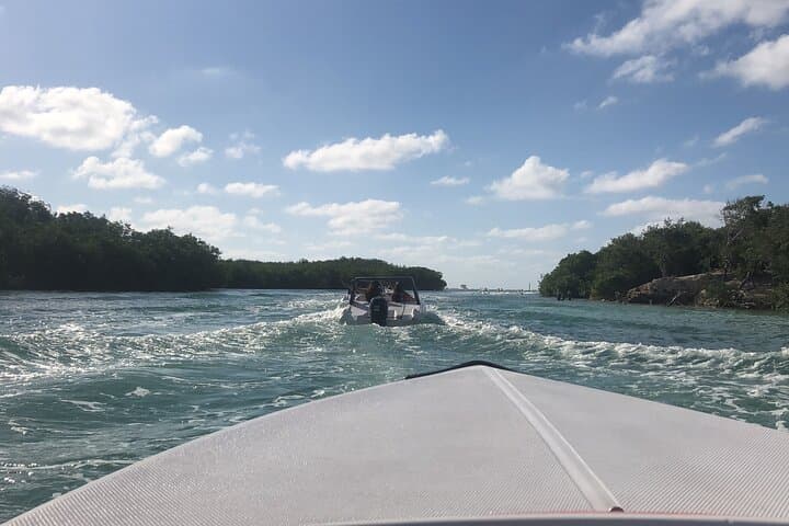 Cancun Speedboat & Magic Night Dinner: Snorkel Punta Nizuc and Party Cruise photo 5