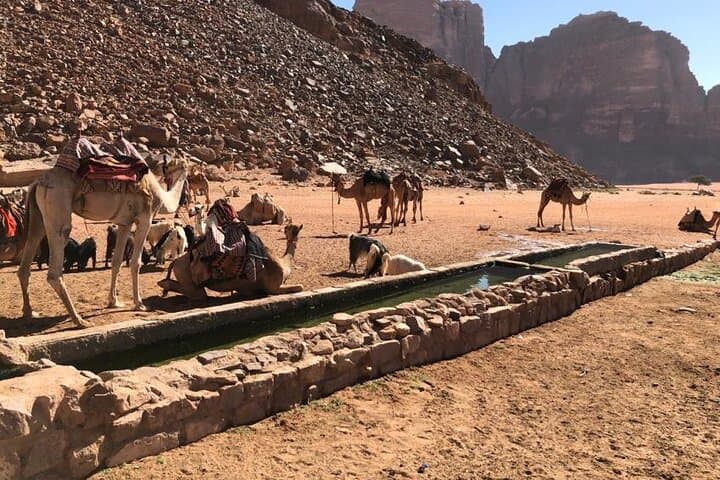 Wadi Rum Jeep Tour: 4-Hour Desert Highlights at Sunrise or Sunset photo 6