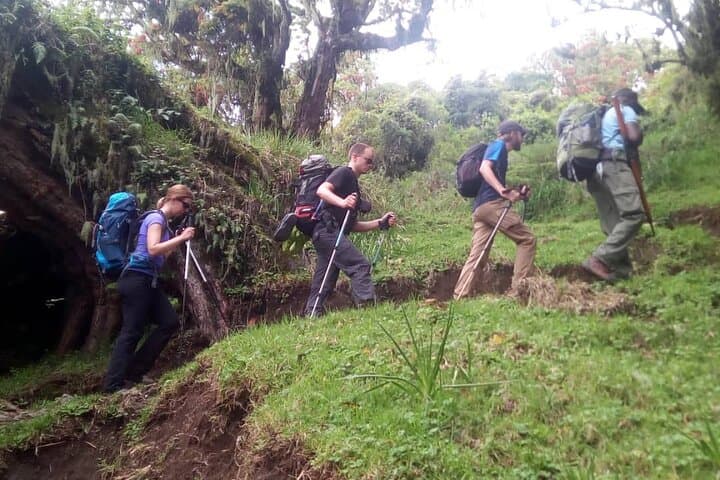4-Day Mount Meru Climb from Arusha — Summit, Wildlife & Cloud Forest photo 4
