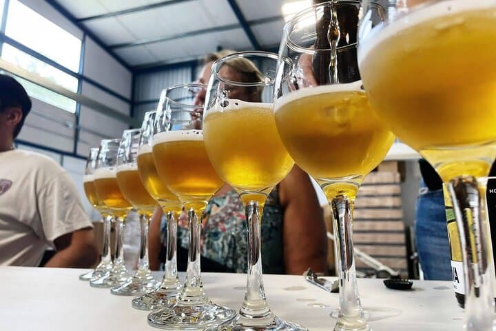 Central Valley Mead, Honey Wine & Craft Beer Tasting on the Slopes of Barva photo 5