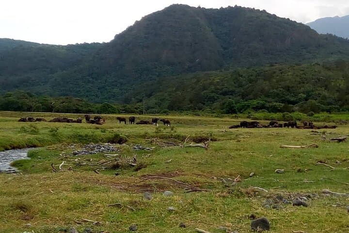 3-Day Mount Meru Trek: Acclimatize for Kilimanjaro with Huts, Wildlife & Sunrise Summit