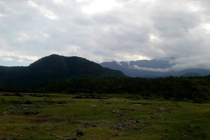 4-Day Mount Meru Climb from Arusha — Summit, Wildlife & Cloud Forest photo 6