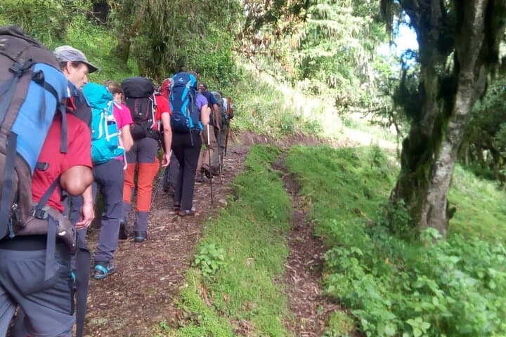 4-Day Mount Meru Climb from Arusha — Summit, Wildlife & Cloud Forest photo 3