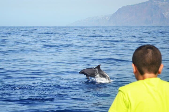 VipDolphins Luxury Whale Watching from Funchal: Dolphin & Whale Cruise photo 6