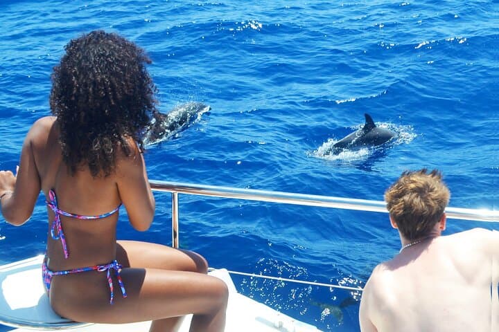 VipDolphins Luxury Whale Watching from Funchal: Dolphin & Whale Cruise photo 4