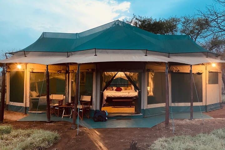 2-Day Private Safari: Tarangire & Ngorongoro Crater — Big Five and Baobabs photo 5