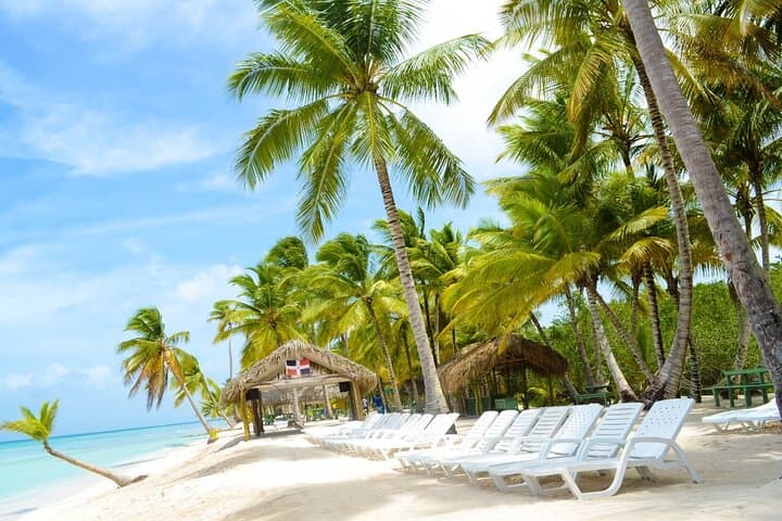 Saona Island Catamaran Day Trip: Natural Pool, Buffet Lunch & Beach Time