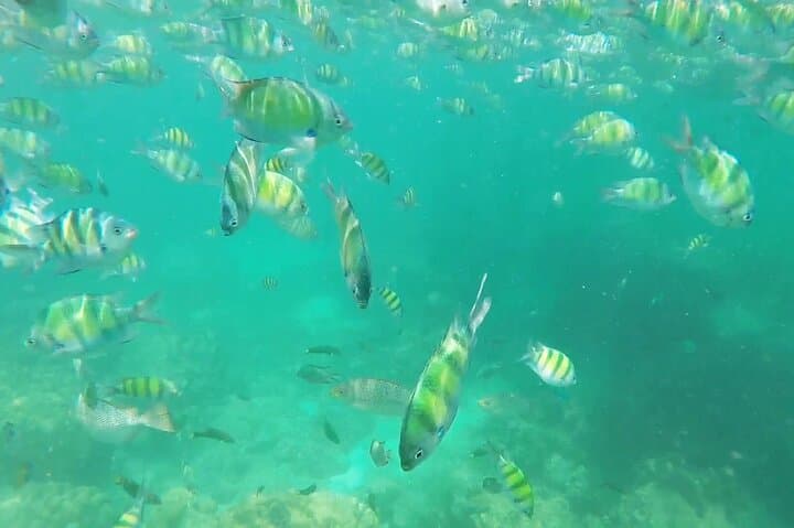 Speedboat to Phi Phi & Khai Nai Islands: Maya Bay Snorkel Tour from Phuket photo 5