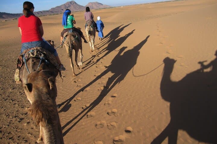 Agadir to Zagora: 2-Day Desert Trip via Ouarzazate, Draa Valley & Dunes photo 3